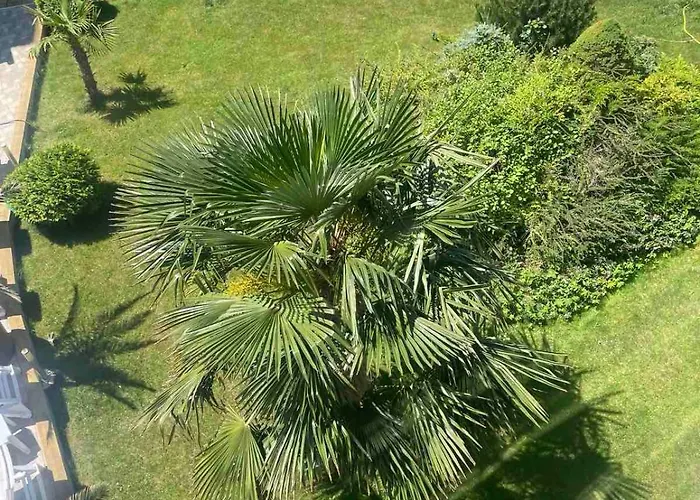 Gallery B Διαμέρισμα Σάνι Μπιτς