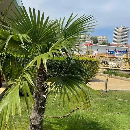 Lägenhet Gallery B *